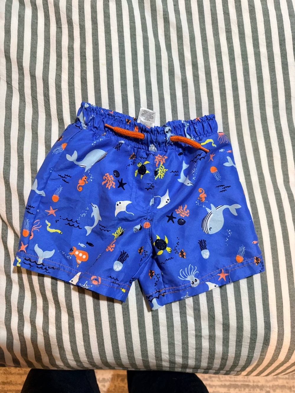 Blue Ocean Creatures Kids Swim Shorts